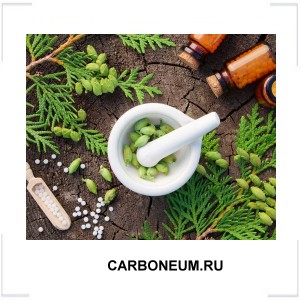 CARBONEUM.RU