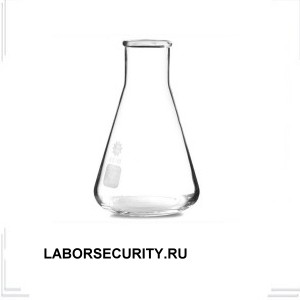 LABORSECURITY.RU