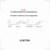 LCAT.RU